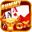 rummy tiger 51 icon